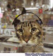 /album/curiosidades/tumblr-lss0068fde1qlz9ca-gif/